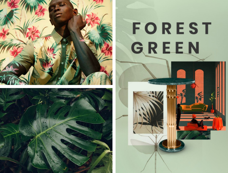 Moodboards Trends: Green Forest Color Scheme